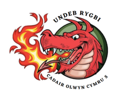 Welsh Fury Wheelchair Rugby 5s