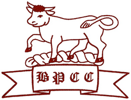 Blagdon Park Cricket Club